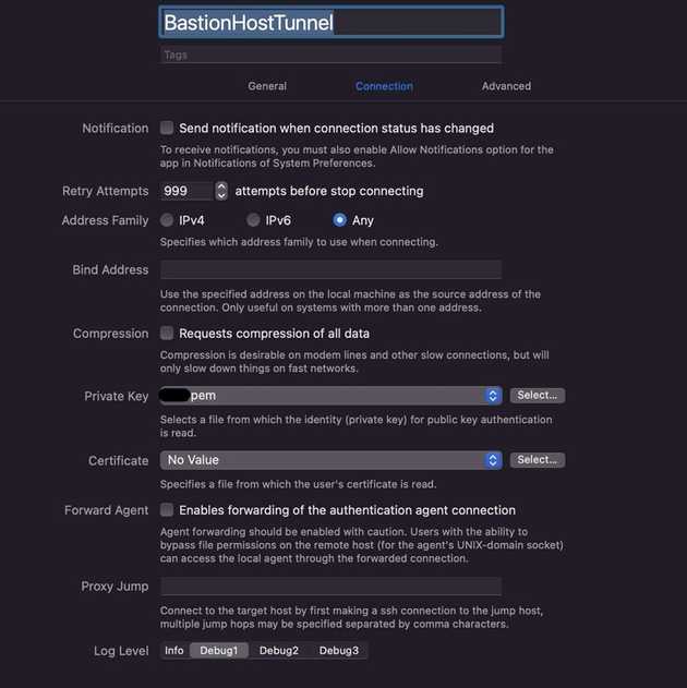 Core Tunnel Forwarding Settings